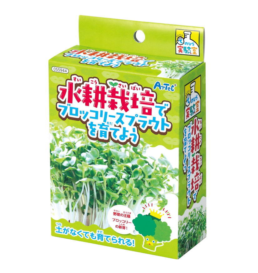 飲食教育 - アーテック　水耕栽培でブロッコリースプラウトを育てよう