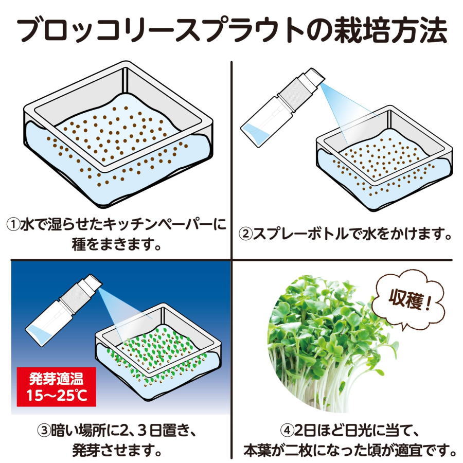 工具のお店 モンジュSHOPのアーテック　水耕栽培でブロッコリースプラウトを育てよう｜アングル2