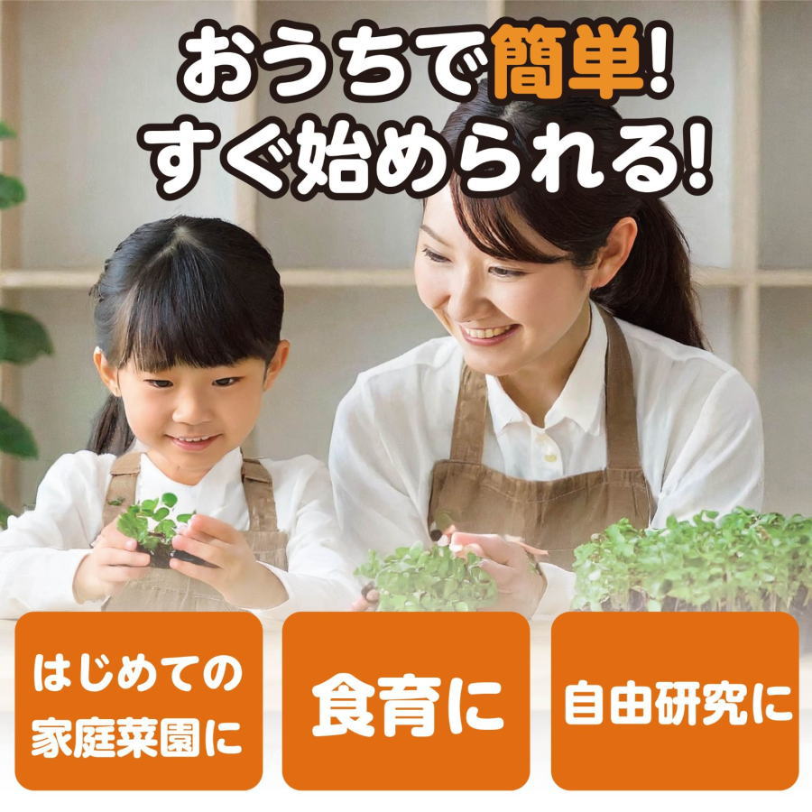 工具のお店 モンジュSHOPのアーテック　水耕栽培でブロッコリースプラウトを育てよう｜アングル3