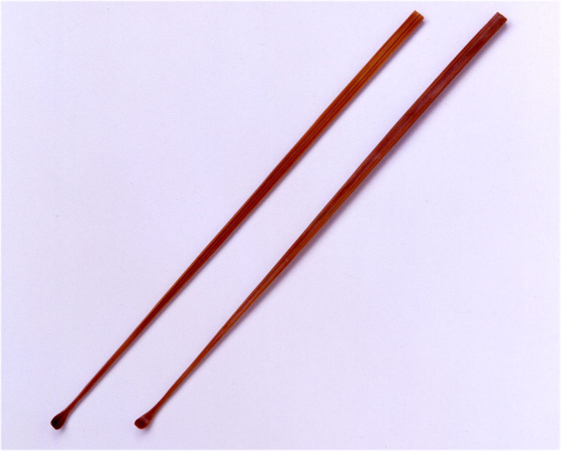 GREEN BELL　匠の技　すす竹耳かき2本組　G-2153