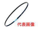 省エネタイプVベルト CN型 CN116(2946mm)