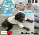 【3300円以上で10%OFFクーポン】【名入れ・うちの子刺繍】ひんやり UVカット 接触冷感 クールTシャツ 犬服 ドッグウェア dogwear リンクコーデ...