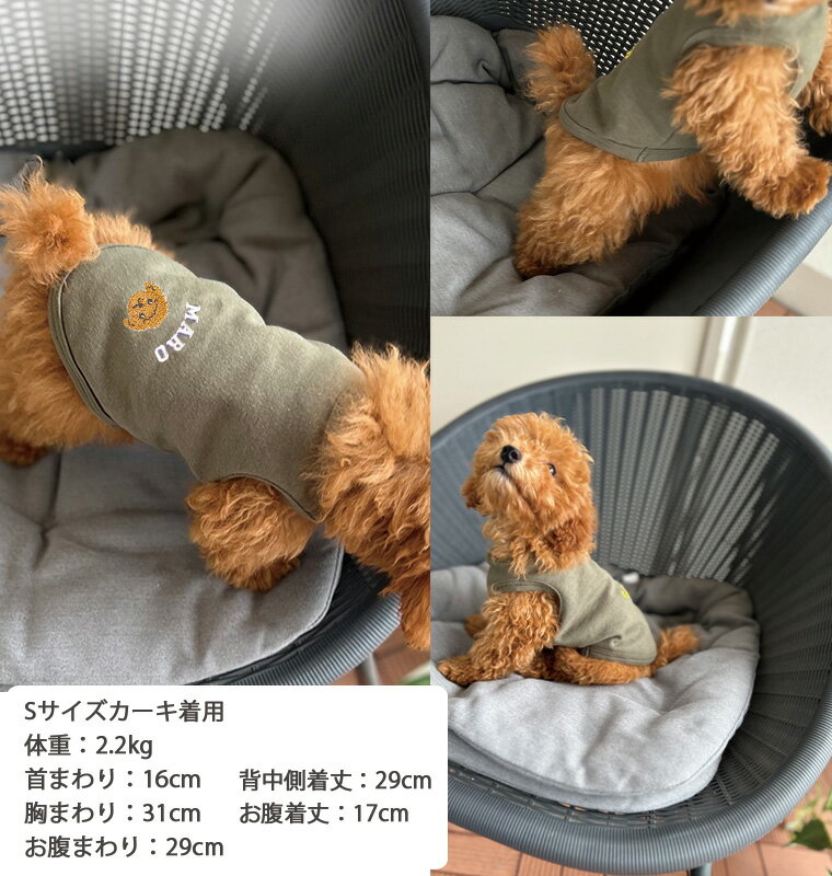 サンプル画像3