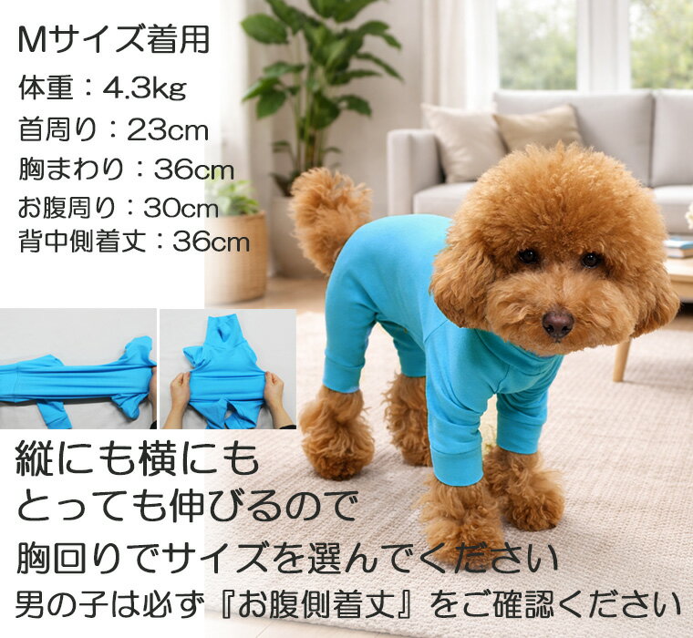 【期間限定ポイント10倍】無地　犬服　ロンパース　つなぎ　伸縮性抜群　ドッグウェア　dogwear（S.M.L.LL） 2