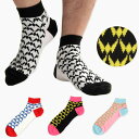 SOCK HOLIC \bNzbN SHORT SOCKS o[hP[W \bNX C fB[X Y jp p jp jZbNX 傫TCY TCY