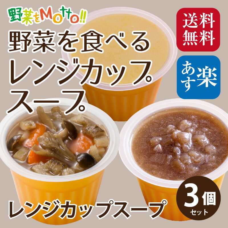 初回限定 ! 野菜 を食べる 高級 カップ スープ お試し 3種×1袋 セット★ 1000円ポッキリ 送料無料 あす楽 スープストック セット 電子レンジ スープカップ おしゃれ インスタント 味噌汁 オニオンスープ オニオングラタンスープ ごぼう コーン 北海道産 ミネストローネ