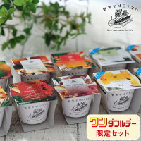 ワンダフルデー 限定 セット 野菜をMOTTO ｜ レンジ 1分 野菜スープ レトルト 常温...