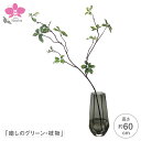倒してもこぼれないお水 「癒しのグリーン・枝物」フェイクグリーン・光触媒 【WS】