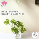 倒してもこぼれないお水 「癒しのグリーン・ミニモンステラ」フェイクグリーン・光触媒 【WS】