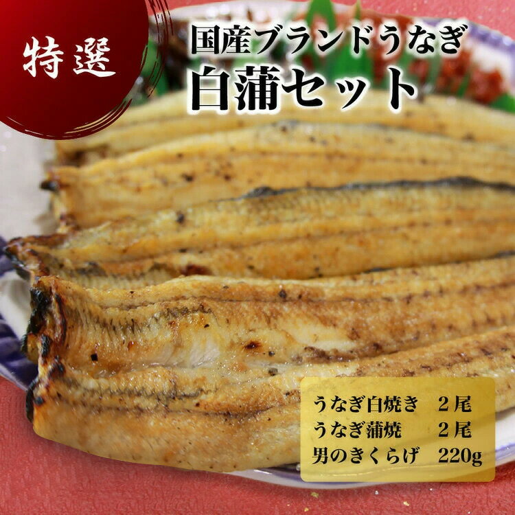国産うなぎ白蒲セット4本【最短3日発送】うなぎの白焼き(120g〜130g×2尾)、うなぎの蒲焼き(120g〜130g×2尾)、男のきくらげのセット|国産のブラ...