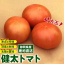 【先行受付】\選べる内容量/健太トマト | 大玉トマト トマト とまと 甘い 野菜 やさい リコピン ヘルシー 新鮮 産地直送