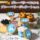 手作りブルーベリーマフィン6個入りと手作りブルーベリージェラート2種×3個セット【WS】