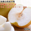 【数量限定】和歌山県産の梨 約2kg(品種おまかせ)◇ ※2025年8月下旬〜10月中旬頃に発送予定【WS】