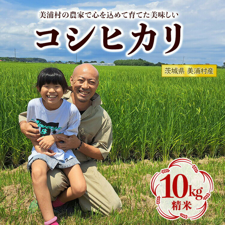 新米【令和7年産】コシヒカリ 精米 10kg 送料無料 こしひかり 白米 産地直送 お取り寄せグルメ【WS】
