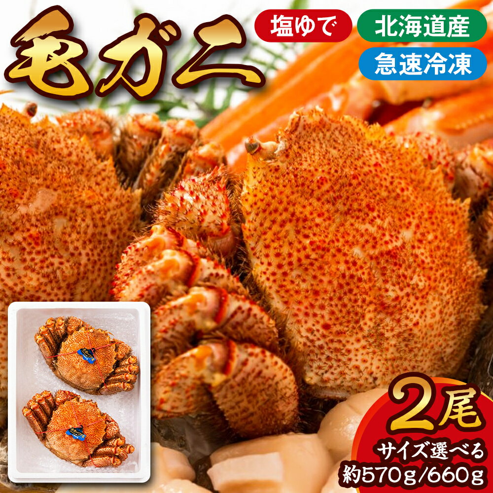 毛ガニ 2尾 | 合計1kg以上 (サイズ選べる 1尾あたり約570g・約660g) 毛蟹 かに カニ 蟹 姿 グルメ プレゼント ギフト 北海道 紋別市 送料無料【WS】