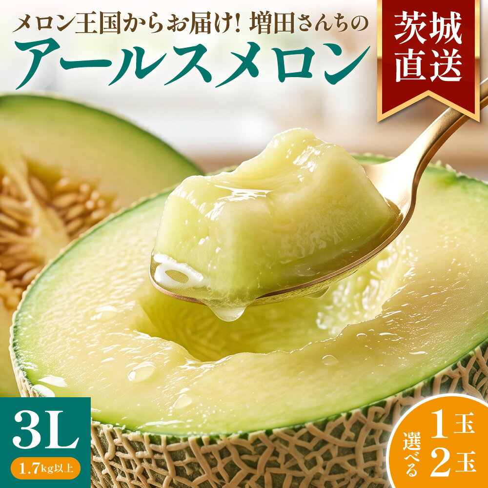 楽天市場】アールスメロン（メロン｜フルーツ・果物）：食品の通販