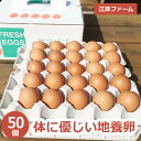 江原ファーム 体に優しい地養卵 50個 割れ補償 | 卵 赤玉 玉子 たまご タマゴ 生卵 鶏卵 生みたて 産みたて 地養卵 新鮮 濃厚 健康 業務用 TKG ...