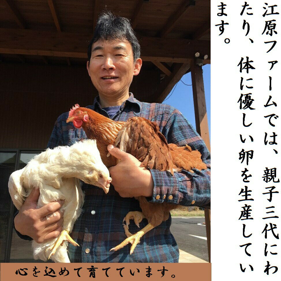 江原ファーム 体に優しい地養卵 80個 割れ補償 卵 赤玉 玉子 たまご タマゴ 生卵 ...