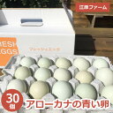 たまご 江原ファーム アローカナの青い卵 30個 割れ補償 タマゴ 生みたて 新鮮卵 玉子 生卵 産みたて アローカナ 新鮮 濃厚 健康 青い卵 TKG ご飯の...