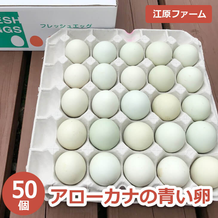たまご 江原ファーム アローカナの青い卵 50個 割れ補償 玉子 たまご タマゴ 生卵 鶏卵 生みたて 産みたて アローカナ 新鮮 濃厚 健康 青い卵 高級 卵 TKG 生タマゴ ご飯のお供 国産 ギフト 贈答 贈り物 お中元 プレゼント 業務用 茨城県 農家直送 【WS】