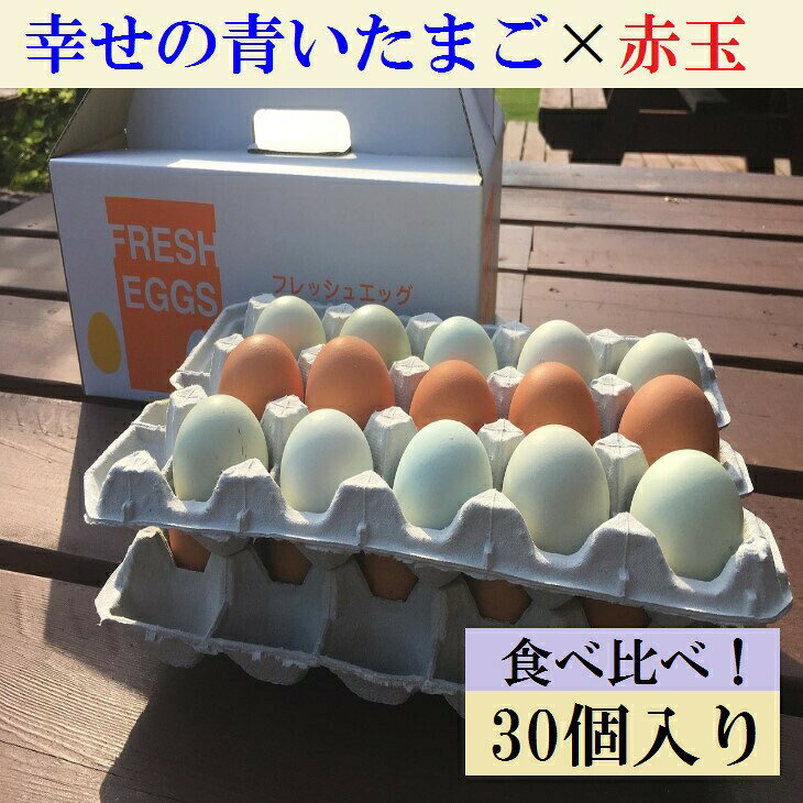 栃木のタウン誌厳選 もんみや通販の江原ファーム たまご 地養卵＆アローカナハーフセット 計30個 割れ補償 タマゴ 生みたて 新鮮 産地直送 農家直送 濃厚 青い卵 赤卵 玉子 ゆで卵 定番 おいしい 詰め合わせ ギフト 贈答 贈り物 プレゼント お祝 ご褒美 記念日 貴重 珍しい 【WS】｜アングル2