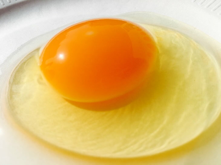 �����ե����� ���ޤ� ����������������ʥϡ��ե��å� ��30�� ������ ���ޥ� ���ߤ��� ���� ����ľ�� ����ľ�� ǻ�� �Ĥ��� ���� �̻� ����� ���� �������� �ͤ��碌 ���ե� £�� £��ʪ �ץ쥼��� ���� ��˫�� ��ǰ�� ���� ������ ��WS��