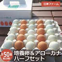 たまご 江原ファーム 地養卵&アローカナハーフセット 計50個 割れ補償 卵 食べ比べ 玉子 たまご タマゴ 生卵 鶏卵 業務用 産みたて アローカナ 地養卵 ...