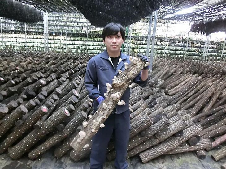 栃木のタウン誌厳選 もんみや通販の原木生しいたけ 1kg 特大厚肉品 特選品　送料無料 椎茸 シイタケ BBQ バーベキュー 焼肉 ギフト プレゼント ご家庭用 贈答用 農薬不使用 脱炭素 お取り寄せグルメ ※離島への配送不可【WS】｜アングル3