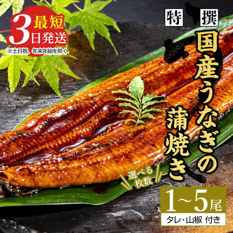 特撰 国産うなぎの蒲焼き2〜5尾 国産のブランド鰻を茨城県土浦市の職人が手間を惜しまず一つ一つ丁寧に作り上げた美味しい蒲焼きをぜひご賞味ください！土用の丑の日に！※離島への配送不可【WS】