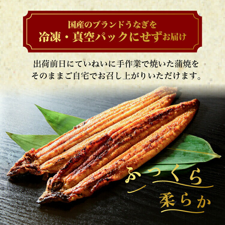 【選べる枚数】うなぎ白焼き 1〜5尾（1尾120g以上） | メディアに紹介されたうなぎ...