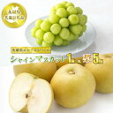 【最大1000円OFFクーポン】シャインマスカット1房と梨5個 果物 くだもの フルーツ ぶどう ブドウ 葡萄 なし 梨 冷蔵 クール 送料無料【WS】