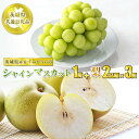【最大1000円OFFクーポン】シャインマスカット1房と梨 2品種×3個 送料無料【WS】