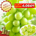 【クーポン利用で20%OFF!(11日1:59まで)】シャインマスカット 有田巨峰村 和歌山県産 朝採り ぶどう 葡萄 マスカット 高級 フルーツ 果物 くだ...