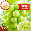 【マラソン期間 半額クーポン配布中】シャインマスカット 約1kg(2房~3房) 有田巨峰村 朝採り 葡萄 マスカット フルーツ 果物 くだもの 送料無料 お取り寄せ ギフト 美味しい 人気 おすすめ 期間限定 数量限定 農園直送 農家直送 2025年8月中旬頃より順次発送