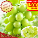 【クーポンで1,500円OFF!(11日1:59迄)】シャインマスカット 有田巨峰村 和歌山県産 朝採り ぶどう 葡萄 マスカット 高級 フルーツ 果物 くだ...