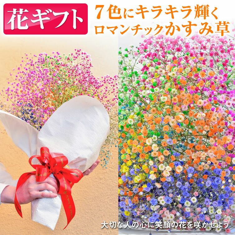 【13日以降発送】花束 花ギフト ロマンチックかすみ草＜7色そろう ふわふわブーケ7本＞キラキラ 七色 輝く 花束。 送料無料 カスミソウ カスミ草 花 かすみそう 花束 生花 母の日 母の日ギフト 母の日花 送別 花 卒業式 観劇 プレゼント 子供