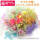 プレゼント 花 ロマンチックかすみ草<プレミアム・スマイルブーケ>キラキラ 輝く 花束。 送料無料 カスミソウ カスミ草 花 花束 かすみそう プロポーズ ギフ...