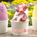 フルーツたっぷりジェラート 6個ギフト【送料無料】那須で生ま...