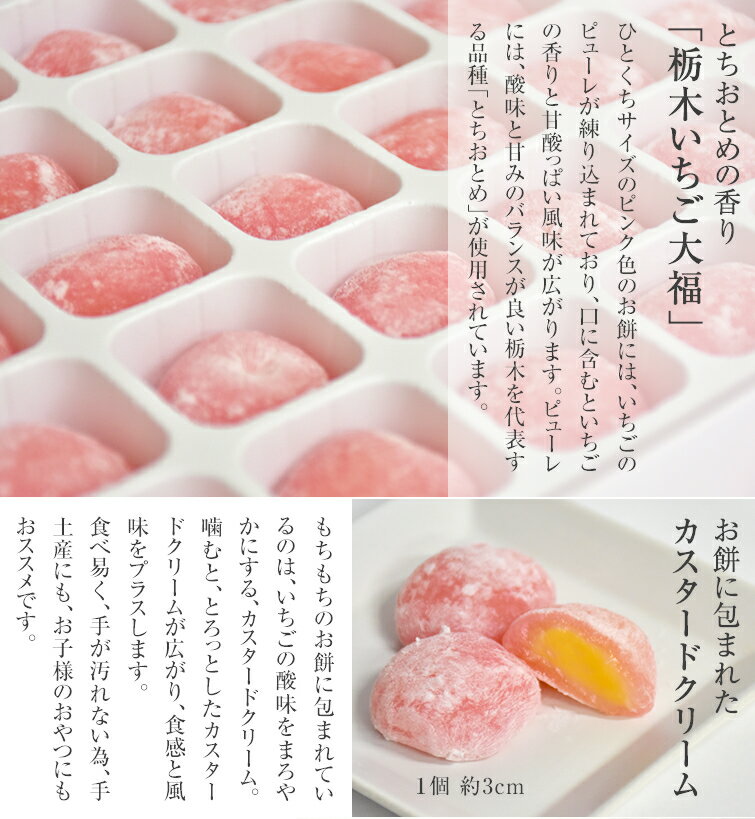 ���� ���ڻ� ����ʡ ���� ��������ʡ 15���� ���٥�� ���� �ۥ磻�ȥǡ� ���ե� ���֤� 2026 �Х�󥿥��� �ե��ե� ����� ���֤� �ץ쥼��� ���ե� ��� ���� ���� ˡ�� ���ˤ� ��ˤ� �࿦�ˤ� ���� ���֤� ���ڻ� �����ڻ� ���ڻ� ������ ������