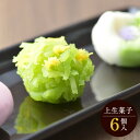 季節の上生菓子セット 6個入 | 和菓子 お菓子 新年会 イベント 景品 バレンタイン バレンタインデー 義理 挨拶 会社 大量 法人 食べ物 プレゼント ギフト お祝い お返し 内祝い 結婚内祝い お礼 お土産 帰省土産 お彼岸 帰省土産 お供え お土産 手土産 ポイント消化 [VD]