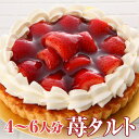 いちご タルト (＊冷凍ケーキ ホー