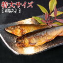 鮎 炭火焼 鮎 甘露煮 特大サイズ 4尾