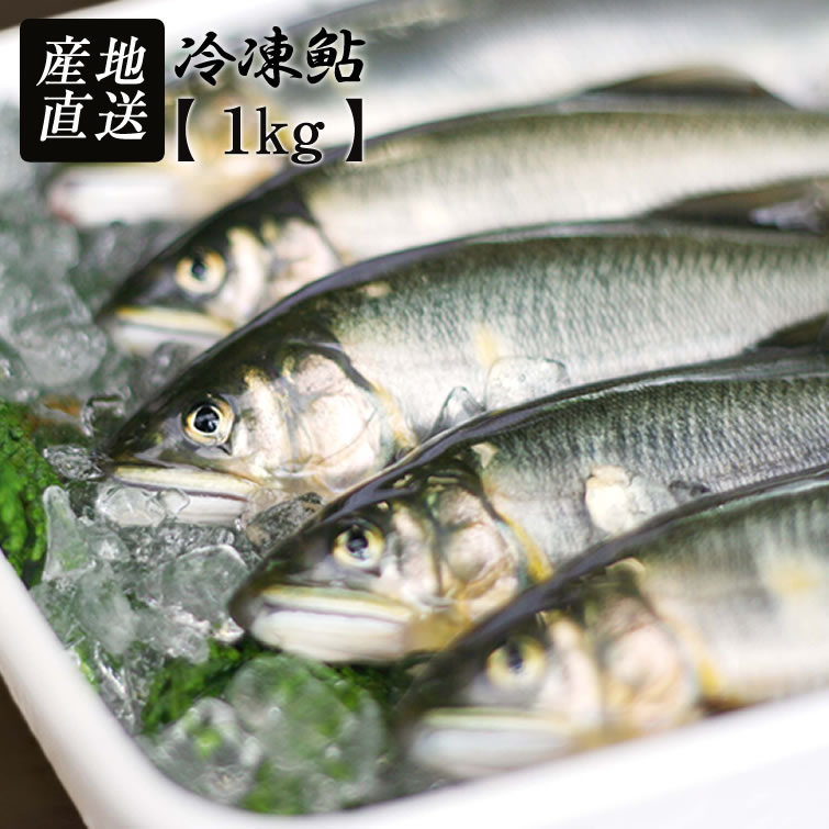 冷凍鮎 1kg | 鮎 あゆ アユ 魚 プレゼント ギフト お祝い 内祝い お返し お取り寄せ 国産 栃木県産