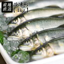 桜 贈答用 特大 子持ち鮎の甘露煮&子持ち鮎の昆布巻き×3尾 計6尾セット　|　鮎 あゆ アユ 魚 プレゼント ギフト お祝い 内祝い お返し お取り寄せ