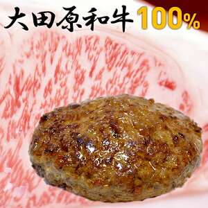 【A5ランク和牛】送料無料 大田原和牛 100%ハンバーグ(約150g×5個) | 結婚祝い 結婚 出産 内祝い 退職祝い イベント 景品 会社 職場 法人 食べ物 お歳暮 お返し プレゼント ギフト お礼 お土産 帰省土産 おすすめ あす楽 お取り寄せ