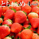 いちご 苺 いちご とちおとめ 1kg(250g×4パック) 栃木県日光産！ | 送料無料 イチゴ いちご 苺 イベント 景品 会社 職場 大量 法人 贈答 贈答用 プレゼント ギフト 出産 内祝い 退職祝い お礼 帰省土産 お土産 手土産 果物 お取り寄せ【icp】