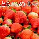 苺 いちご とちおとめ 500g 250g 2パック 栃木県日光産 | 送料無料 イチゴ いちご イベント 景品 会社 職場 大量 法人 家庭用 贈答 贈答用 プレゼント ギフト 出産 内祝い 退職祝い お礼 帰省…