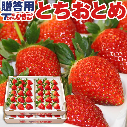 いちご 苺　ホール詰め 600g x 2箱 (計1.2kg) (贈答用)　／栃木県産 とちおとめ 貞ちゃん いちご とちおとめ(栃乙女) 送料無料 | 苺 イチゴ 生いちご 栃乙女 tちゃん お祝い 食べ物 母の日 父の日 お中元 プレゼント ギフト 御見舞 お土産 帰省土産 お供え