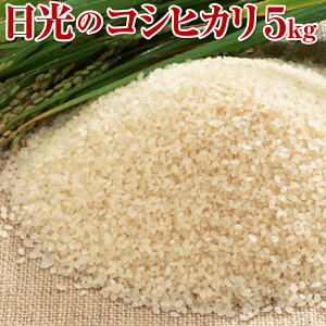 米 5kg 送料無料 コシヒカリ(5kg) 日光産 | お米 会社 職場 大量 法人 食べ物 お中元 御中元 夏ギフト 敬老の日 お返し プレゼント ギフト 結婚祝い 結婚 出産 内祝い 賞品 引き出物 引出物 お祝い 内祝い 出産内祝い 退職祝い お返し お取り寄せ