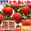 いちご 苺 とちあいか　ホール詰め 700g x 1箱 (贈答用)　／栃木県産 いちご 苺 イチゴ とちあいか 送料無料 予約 栃木産イチゴ 高級いちご 旬の果物 フルーツ 贈答品 プレゼント ギフト お取り寄せ Tちゃん Tちゃんイチゴ